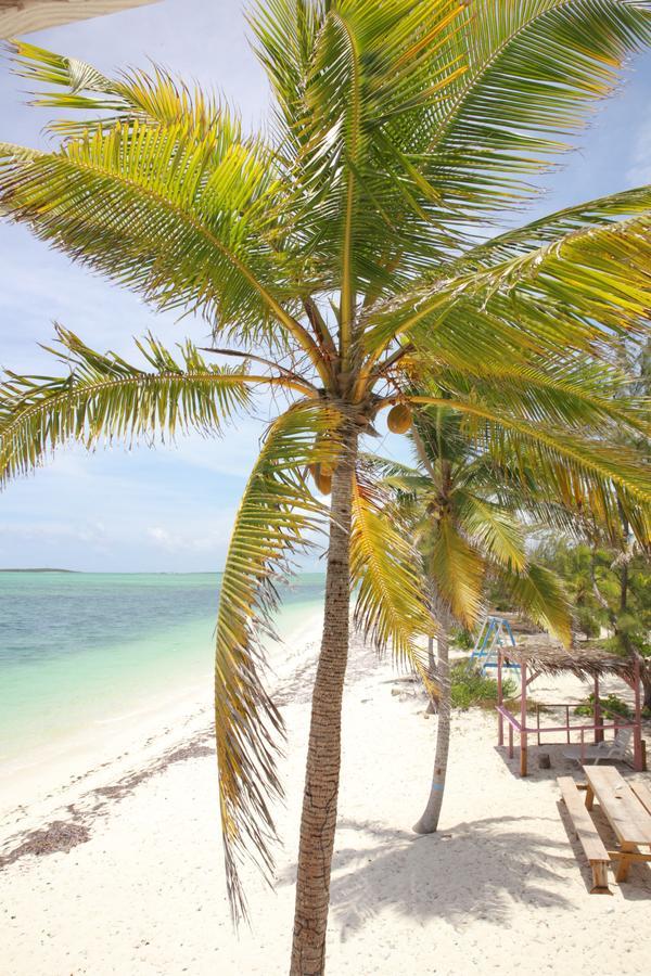 Exuma Point Beach Villas Rolleville エクステリア 写真